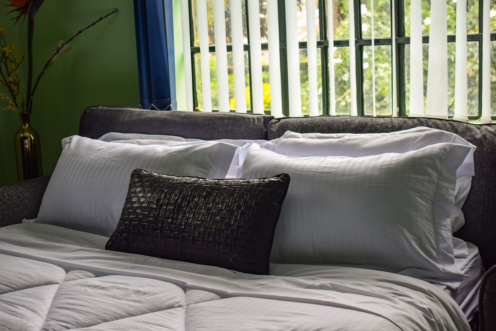 Eden Suite